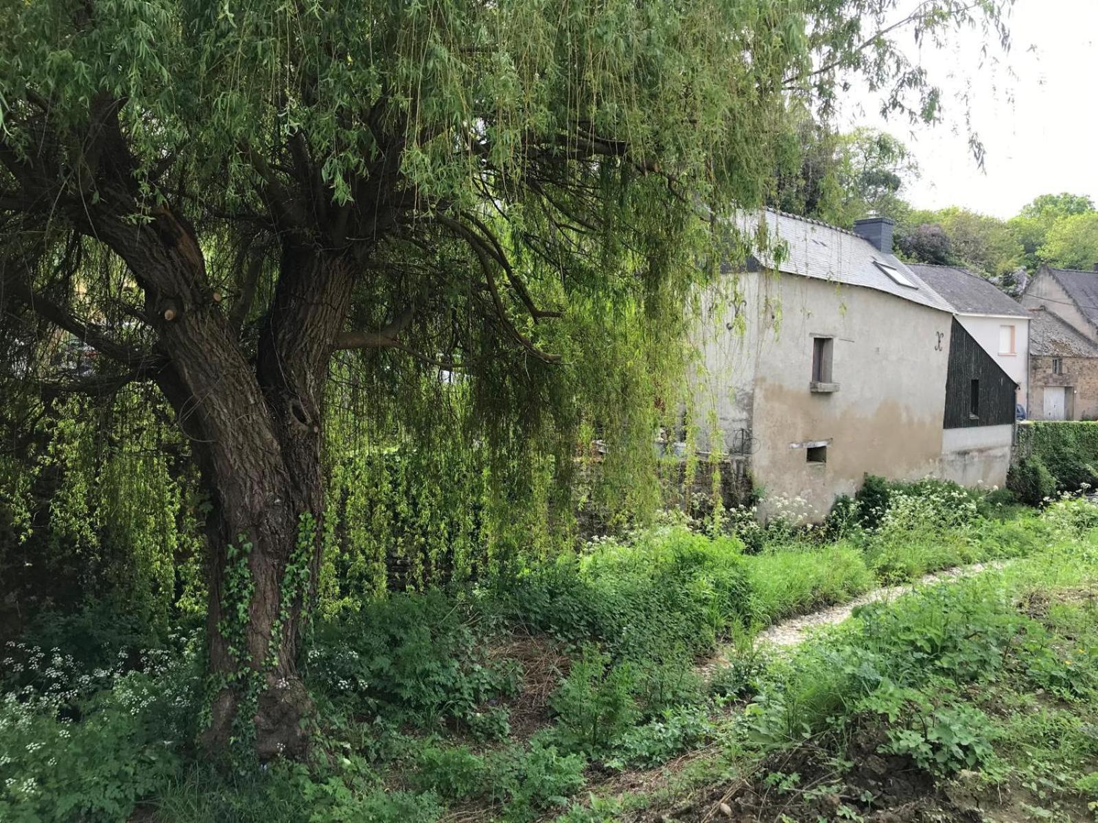 Le Moulin De La Voute Villa La Roche-Bernard Buitenkant foto